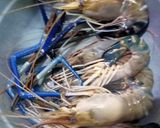 Foto langkah ke 1 dari resep Udang Keras kepala VIP🤣.