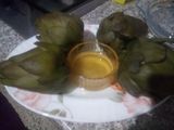 قرنون (ارضي شوكي) سلطة