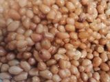 Kacang Kribo