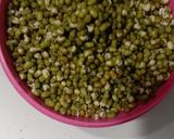 Foto langkah ke 1 dari resep Sari Kacang Ijo.