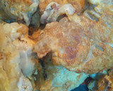 Foto del paso 2 de la receta: Manitas de cerdo