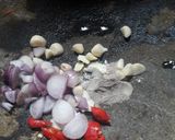 Foto langkah ke 1 dari resep Perkedel kentang pedas.
