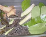 Foto langkah ke 2 dari resep Rendang padang ala dapu fina.