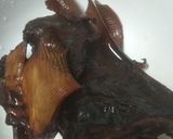 Foto langkah ke 1 dari resep Mangut Ikan Pari Asap.