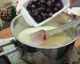 Foto del paso 4 de la receta: Turrón de queso camembert con arándanos y nueces