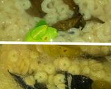 Foto langkah ke 1 dari resep Rica-rica Udang Bubuk.
