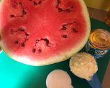 A picture of step 1 of Watermelon milkshake😋.
