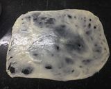 Foto del paso 5 de la receta Tortas de aceite رغايف