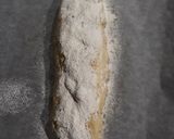 Foto del paso 5 de la receta: Pan de music