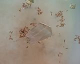 A picture of step 4 of Bombay Biryani 😊.