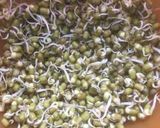 A picture of step 1 of Moong Sprouts Chaat.