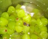 A picture of step 1 of Grapesica.