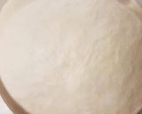 Foto del passaggio 2 della ricetta Panettone gastronomico