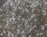 A picture of step 1 of Rustic Bajra Uttapam.