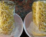 Foto del paso 9 de la receta: Brotes de fenogreco