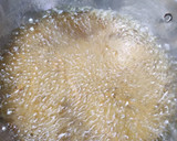 கார முறுக்கு (Kaara murukku recipe in tamil) ரெசிபி ஸ்டேப் 3 புகைப்படம்