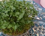 عکس مرحله 3 از دستور سبزه لوبیا