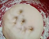 Foto del paso 2 de la receta: No pollo VEGANO receta viral tiktok