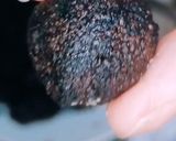 صورة لخطوة 4 من وصفة طابات الشوكولاتة سهلة وسريعة ومقادير متوفرة