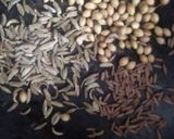પંજાબી થાળી (Punjabi Thali Recipe In Gujarati) રેસીપી સ્ટેપ13ફોટો