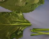પાલક પાત્રા (Palak Patra recipe in Gujarati) રેસીપી સ્ટેપ1ફોટો
