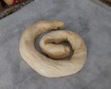 Foto del paso 10 de la receta Ensaimada v2
