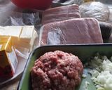 Foto del paso 1 de la receta: Lasagñas..a lo Ade