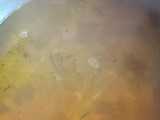 Sopa crema de zapallo cabutia