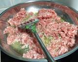 Ground Pork With Eggs recipe step 1 photo