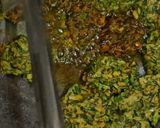 A picture of step 3 of Chenopodium kachri.