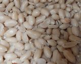 Foto langkah ke 4 dari resep Kacang Bawang Santan Empuk dan Kriuk.