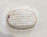 Foto langkah ke 12 dari resep Cranberries Sourdough Bread 77%.