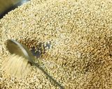 A picture of step 1 of Arabic Tahini/Tahina Sauce.