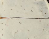 A picture of step 2 of Dahi Khasta.