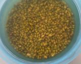 Foto langkah ke 1 dari resep Puding kacang hijau.