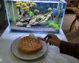Foto langkah ke 7 dari resep Slice Cake Rumahan.
