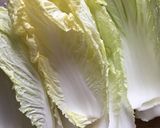 A picture of step 4 of Easy Comfy Stewed Napa Cabbage Rolls (Stuffed Cabbage) with Oats.