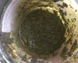 Foto del paso 5 de la receta: Aderezo a base de semilla de papaya