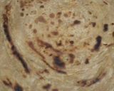 A picture of step 1 of Desi nashta.