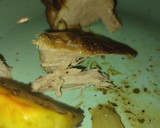 Foto del paso 8 de la receta: Mi solomillo al horno con patatas
