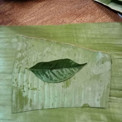 Langkah 3