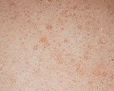 Foto del paso 3 de la receta: Batido de sandía