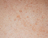 Foto del paso 3 de la receta: Batido de sandía