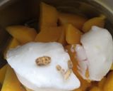 A picture of step 1 of Mango dry fruit lassi.
