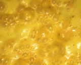 A picture of step 5 of Shahi Paneer.