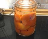 Tangerine liqueur recipe step 2 photo