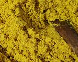 A picture of step 9 of Panjiri.