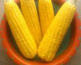 Foto langkah ke 1 dari resep Dadar Jagung.