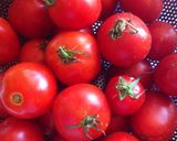 Hình bước làm 1 của món TƯƠNG CÀ CHUA NHÀ LÀM (Homemade tomato ketchup)