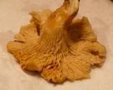 Fluffy Omelette with Chanterelle Pilaf & Cream Sauce recipe step 1 photo